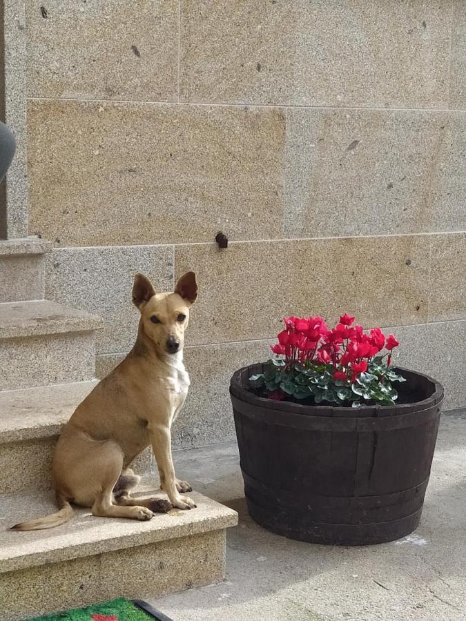 דירות פורטונובו Casa Andrea מראה חיצוני תמונה